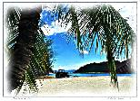 At the Beach Langkawi 2 - NFT